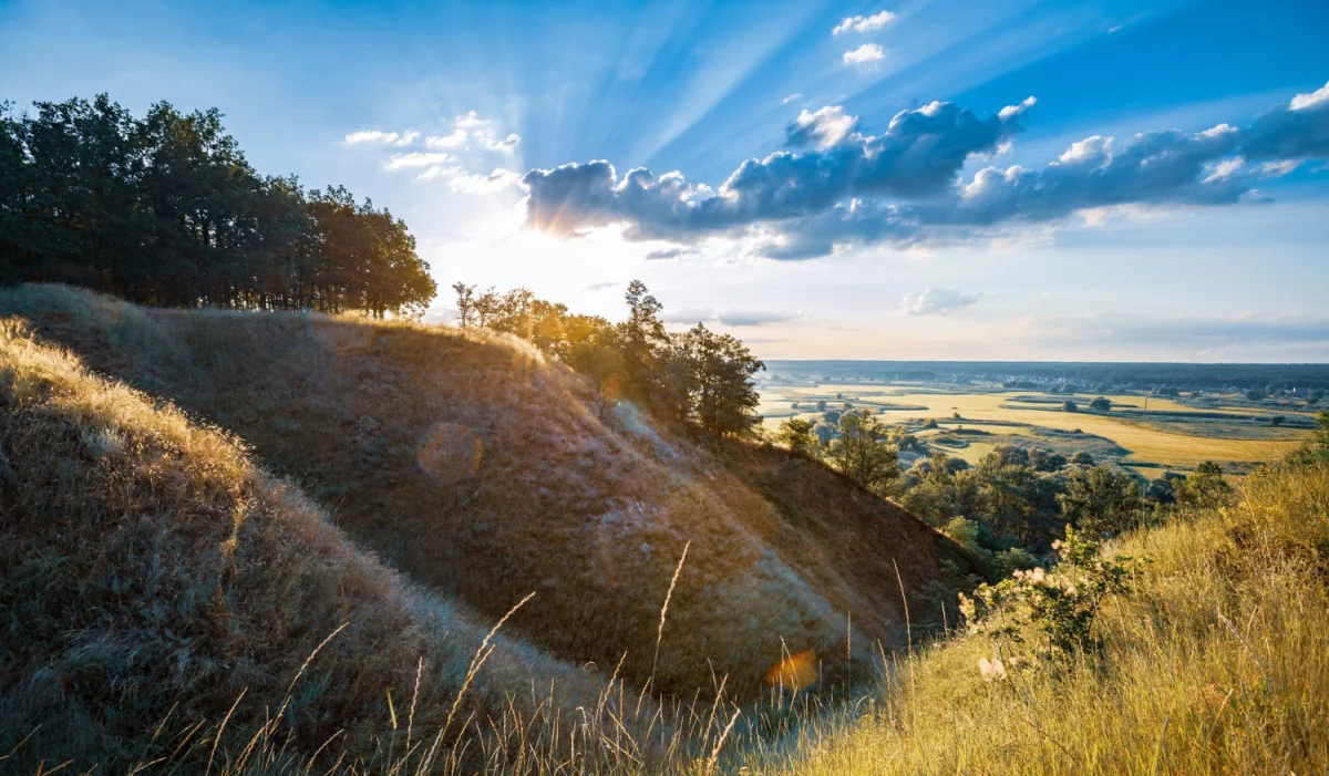 Bazy Danych o produktach i opakowaniach oraz o gospodarce Odpadami na Węgrzech: Klucz do Zrównoważonego Rozwoju