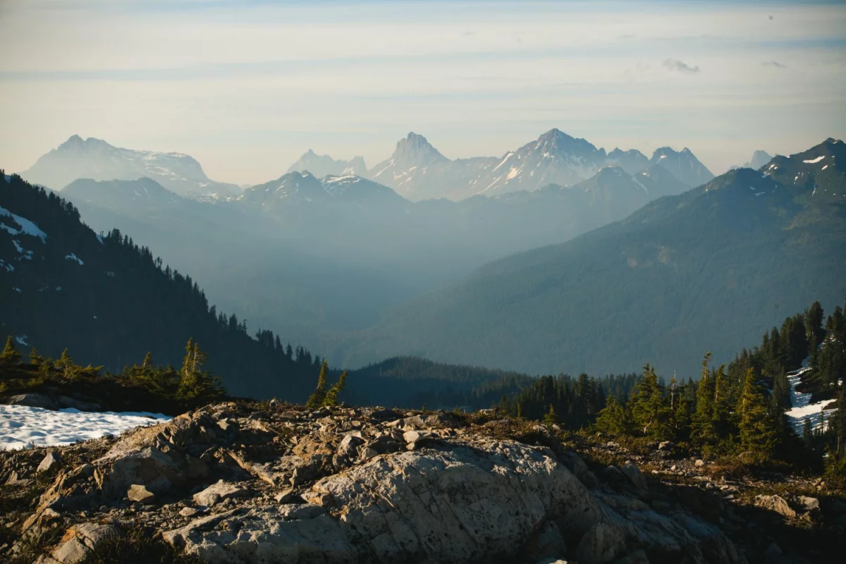 BDO Belgia: Kluczowe Usługi i Wsparcie dla Biznesów w Belgii