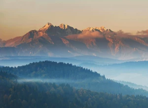 Elektronika: Klucz do szybkiego rozwoju technologicznego